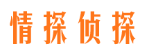 公安外遇调查取证